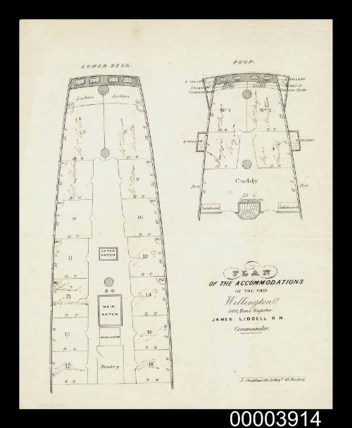 Plan of the accommodations of the ship WELLINGTON