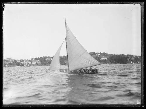 Sailing vessel with the number '5' displayed on the mainsail, Sydney Harbour