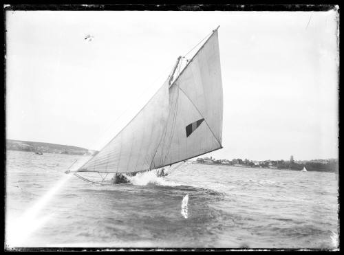 Possibly 16'  foot skiff on Sydney Harbour, inscribed 1438