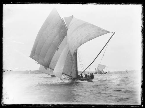 18-footers on Sydney Harbour, inscribed 1439