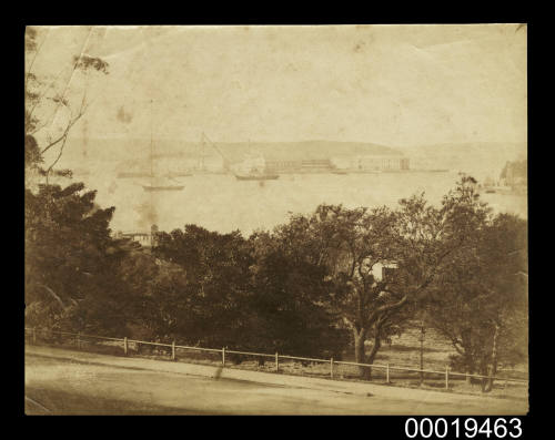 View of Garden Island from the Domain