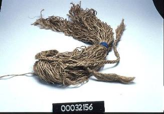 King Neptune's wig used in a crossing the line ceremony on board MV GLOBAL MARINER