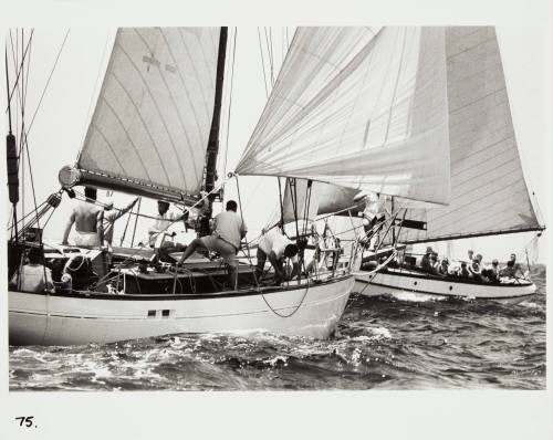 Start of the Sydney to Hobart yacht race