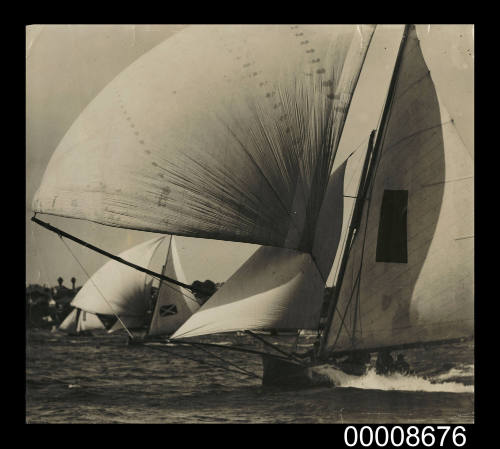 18 footer skiffs racing on Sydney Harbour