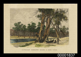 Australian Aborigines making a bark canoe