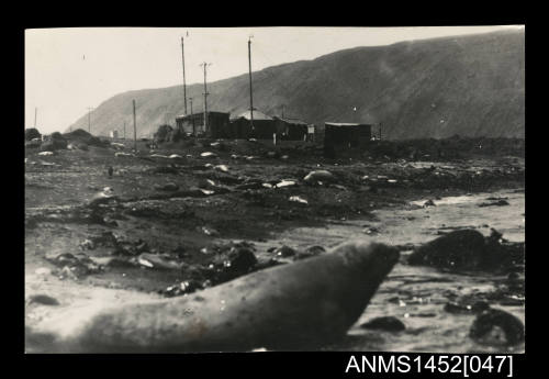 ANARE station in Macquarie Island