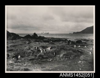 View of the KISTA DAN from Macquarie Island