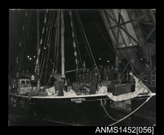 PATANELA sailing towards Macquarie Island