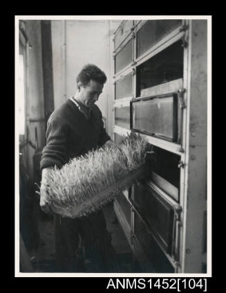 Jean-Francois Martinat holding a tray of maize