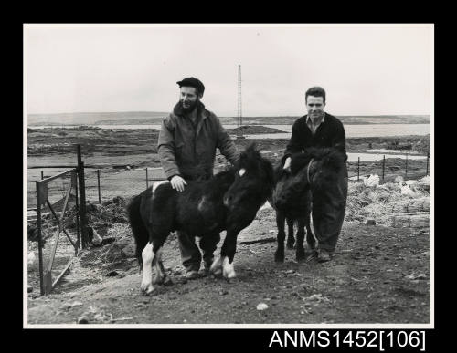 Marcel Savy and Jean-Francois Martinat with two Shetland ponies in Kerguelen Island