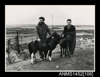 Marcel Savy and Jean-Francois Martinat with two Shetland ponies in Kerguelen Island