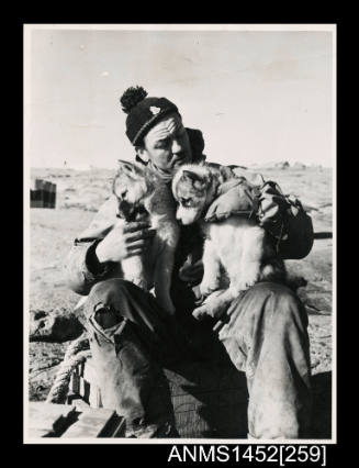 Bill Harvey with husky pups at Mawson