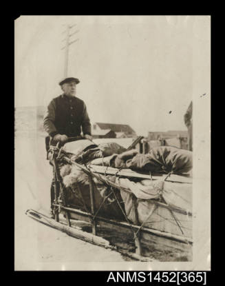 Amundsen on a dog sled