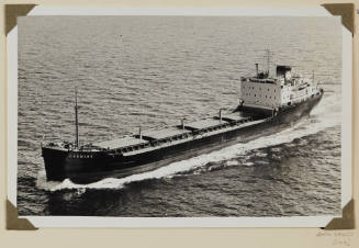 Photograph of  OREMINA depicting bow and port side of bulk carrier cargo ship