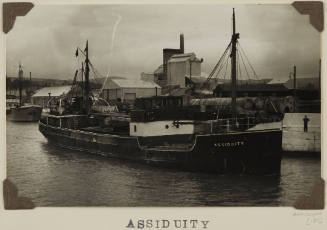 Photograph of  ASSIDUITY depicting bow and starboard side of small cargo ship