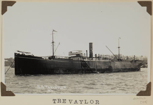 Photograph of  TREVAYLOR depicting port side of cargo ship anchored off distant shore on starboard side