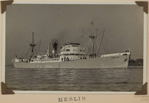 Photograph of MERLIN