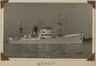 Photograph of MERLIN