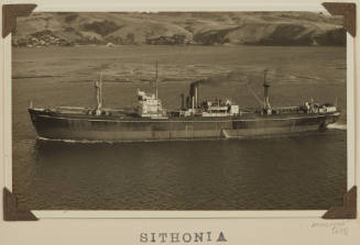 Photograph of SITHONIA