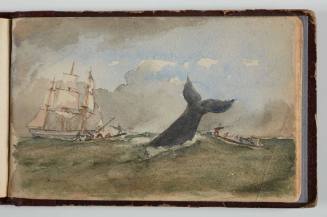 Sketchbook of whaling scenes