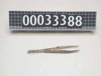 Tweezers from BLACKMORES FIRST LADY