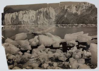 Glaciers in Antarctica