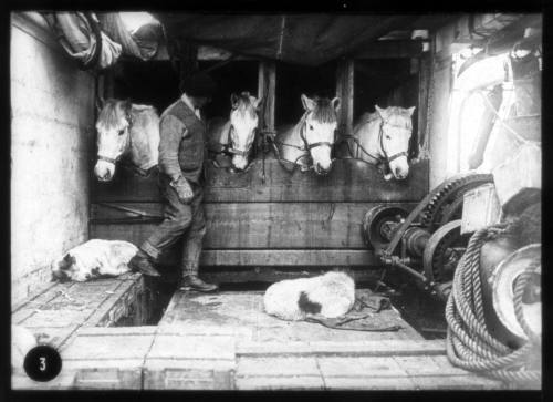 Captain Oates and some of the ponies