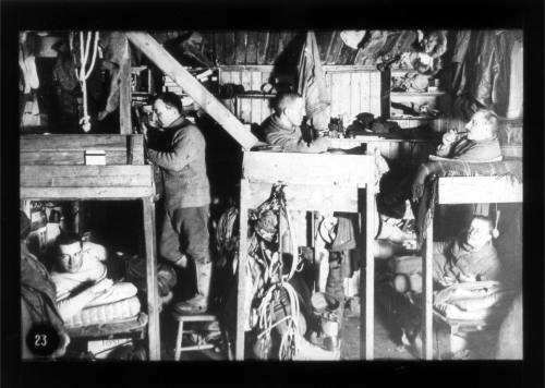 Bunks inside the hut at Cape Evans