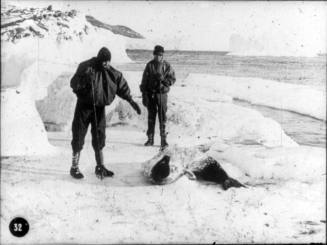 Frederick Hooper, Dimitri Gerof and a Weddell seal at Cape Evans