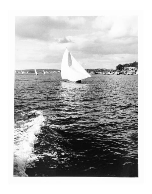 18-foot skiff sailing on Sydney Harbour