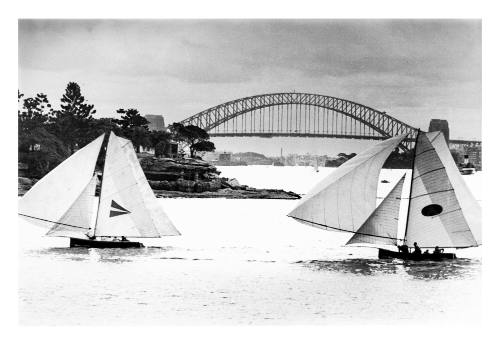 18-foot skiffs APEX and AJAX off Shark Island