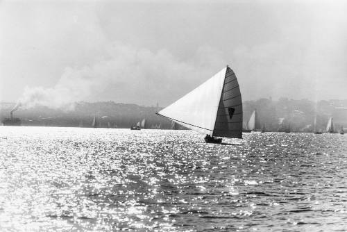 18-foot skiff SAM LANDS on Sydney Harbour