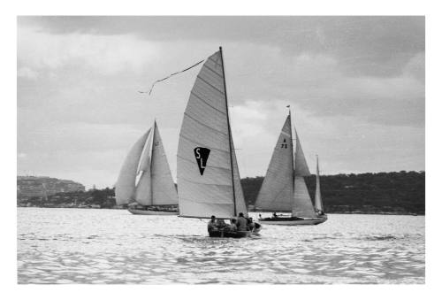 Untitled (three yachts on Sydney Harbour)