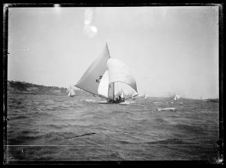 18-foot skiffs on Sydney Harbour