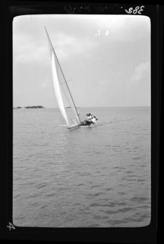 Bermuda dinghies on Sydney Harbour