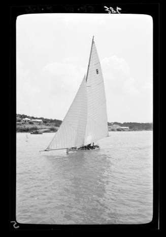 Bermuda dinghies on Sydney Harbour