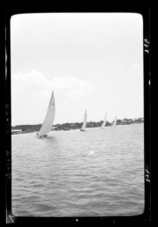 Bermuda dinghies on Sydney Harbour