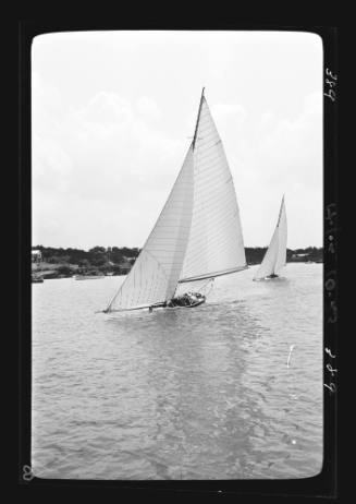 Bermuda dinghies on Sydney Harbour