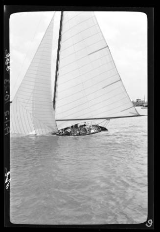 Bermuda dinghies on Sydney Harbour