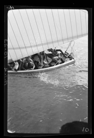 Bermuda dinghies on Sydney Harbour