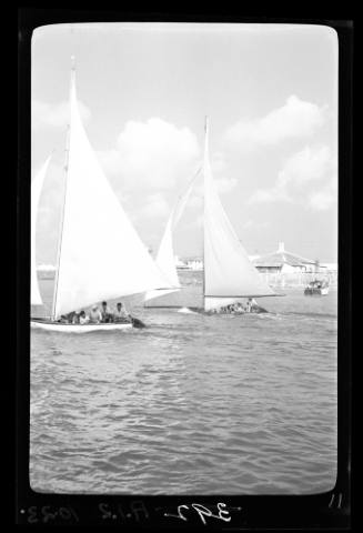 Bermuda dinghies on Sydney Harbour