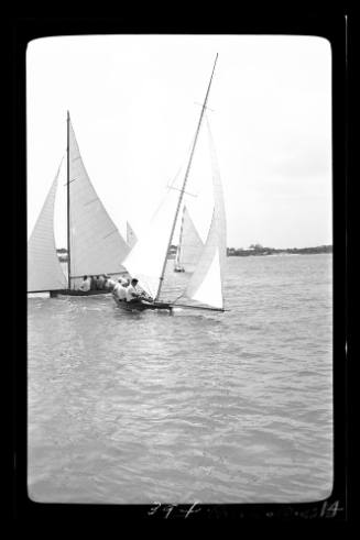 Bermuda dinghies on Sydney Harbour