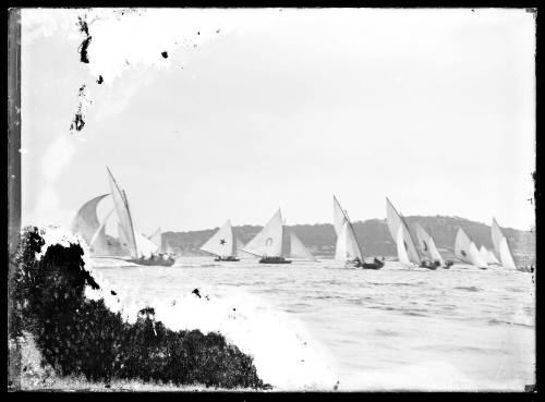 18-footers on Sydney Harbour, inscribed 1619