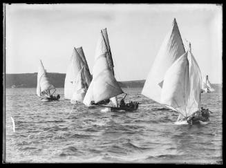 18-foot skiffs on Sydney Harbour, inscribed 1480