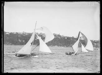 18-footers on Sydney Harbour, inscribed 1495