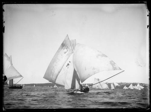 18-footers on Sydney Harbour, inscribed 1541