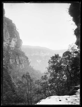 A heavily wooded valley between two steep sandstone cliffs, Katoomba, Blue Mountains, New South Wales