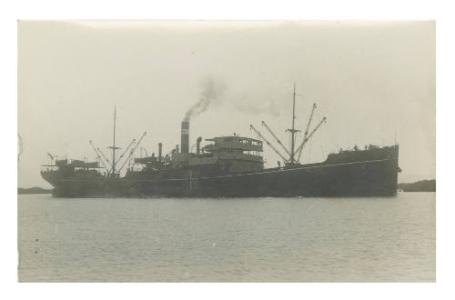 SS GAMBADA