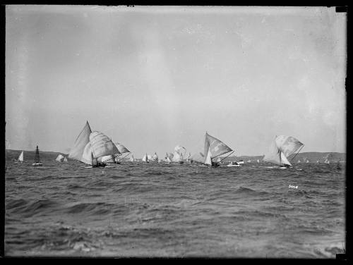 Fleet of skiffs racing on Sydney Harbour