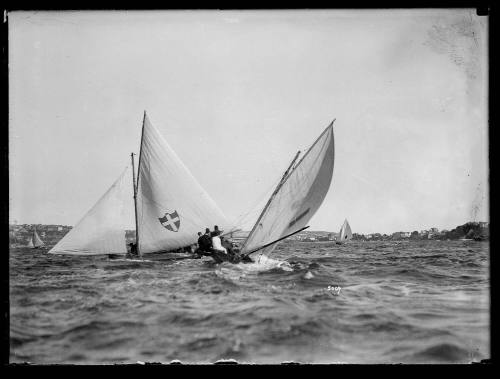 Skiffs racing on Sydney Harbour